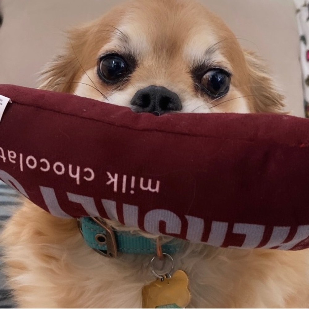 🥭💖Share Show 🥭🩷😻👽🎉🌮🎤🐔Oh My Posh! MANGO is live 🥭👽😻🩷 🎉🌮🎤🐔🥭 - Picture 8 of 9